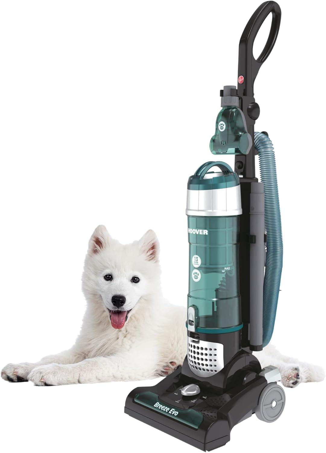 The Vacuum That Outsmarts Pet Hair